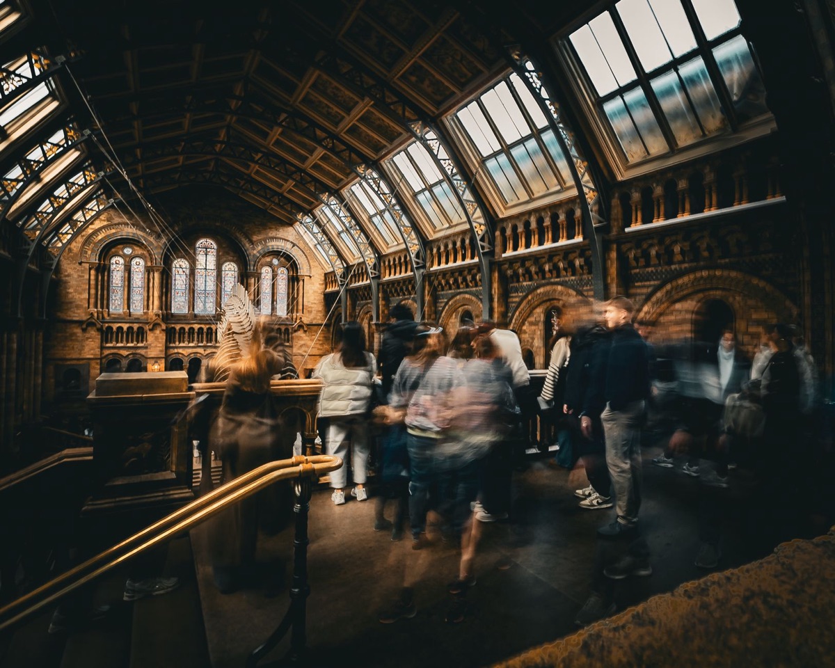 guía del museo real londres