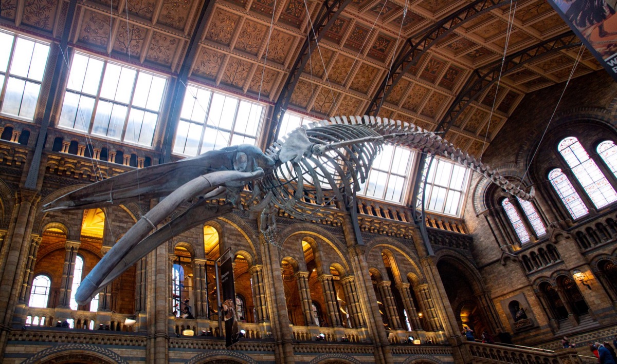 Musée Britannique intérieur