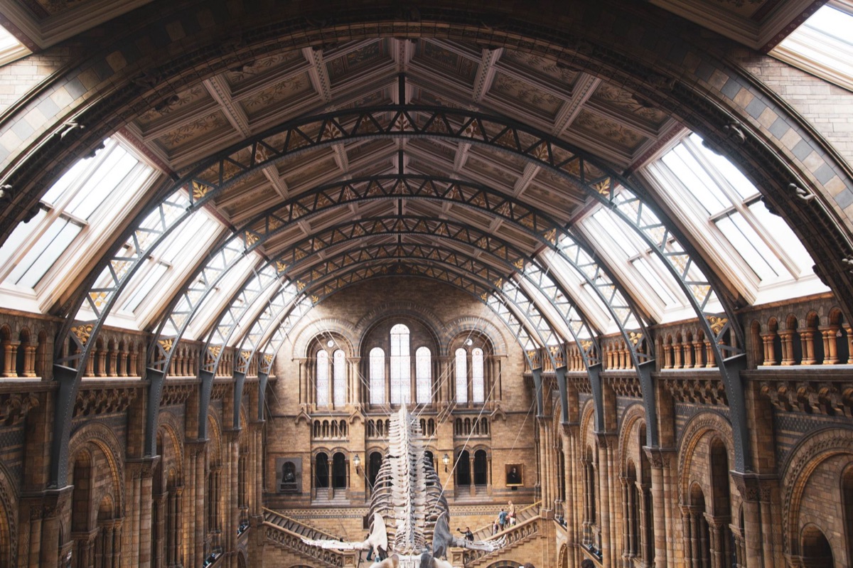 Il Museo Britanico all'interno