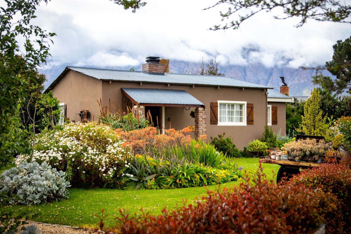 Cottage garden with flowerbeds