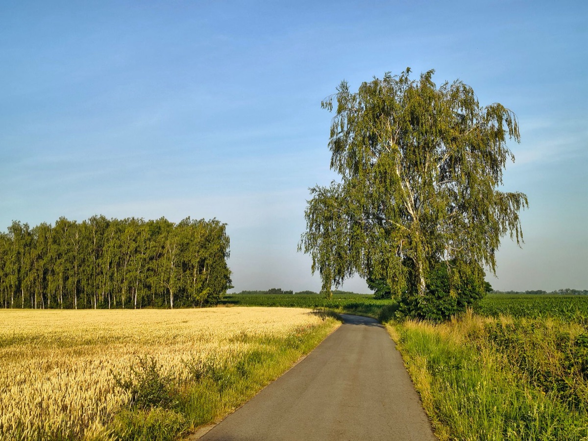 country road with countryside views