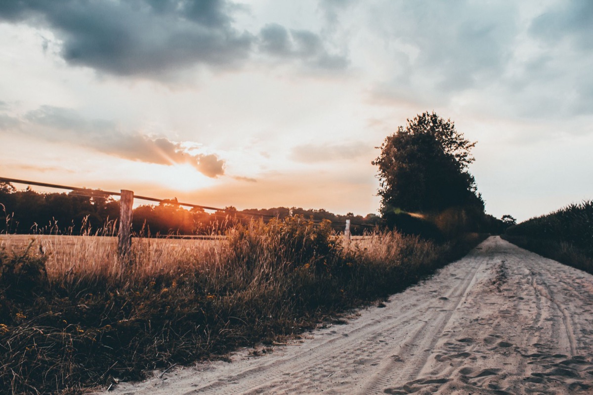 estrada rural em golden hour no inglaterra