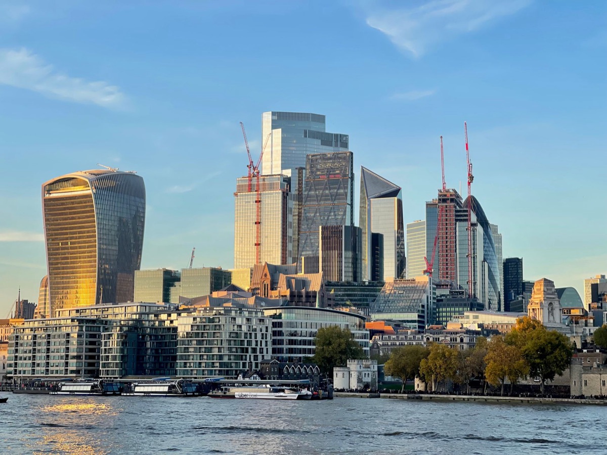 Boekruit met Londons zicht