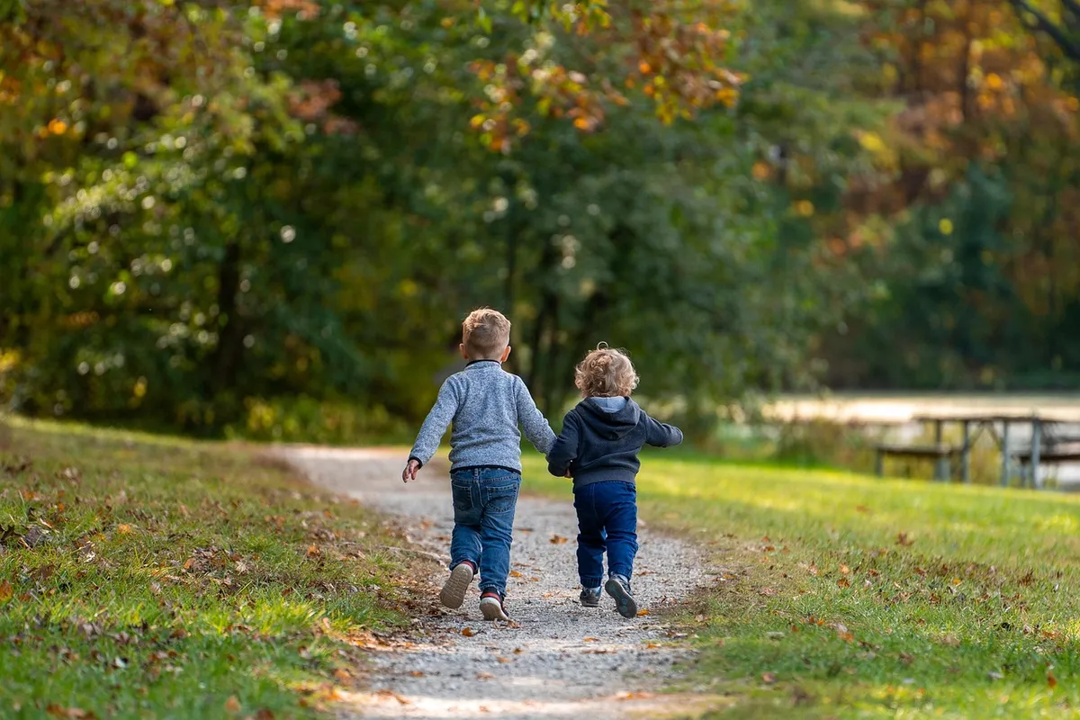 boys, children, path, trail, park, brothers, trees, leaves, autumn, fall, kids, nature, fun, childhood, friends, grass, playing, run, running, friendship day, f